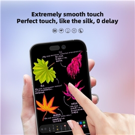 گلس فول BLUEO Full Cover Anti Glare Matte Glass Anti Static مناسب برای Apple iPhone 13 Pro Max