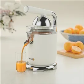 آب مرکبات گیری Green Lion Vintage Citrus Juicer GNVCTJUR400CM ظرفیت 400 میلی لیتر