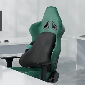 بالشت طبی پشت کمر خودرو گرین لاین Green Lion Comfort Mate GNCMSTCUSHNBK