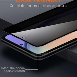 محافظ صفحه نمایش حریم شخصی اپیکوی مدل Cactus-ESD-Privacy مناسب برای گوشی موبایل اپل Apple iPhone 13 Pro Max