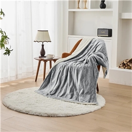 پتو برقی گرم کن دار گرین لاین Green Lion Electric Blanket with Heating Function GNELCBLKTGY